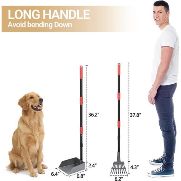 Dog Pooper Scooper, Dog Poop Tray and Rake Set with Long Stainless Handles - Picture 3 of 7